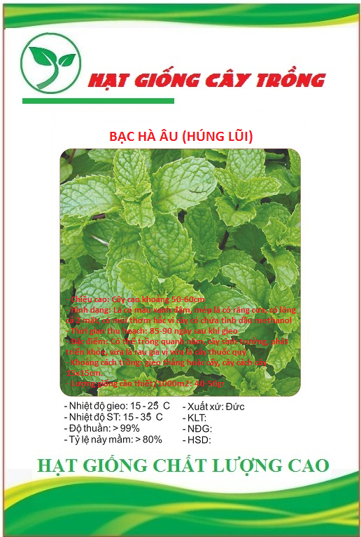 Hạt giống rau húng lũi - Gói 0.1Gram
