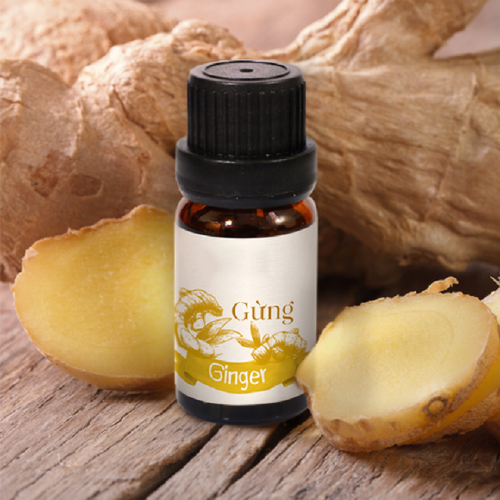 Tinh Dầu Nguyên Chất Thảo Mộc 10ml Chọn Lựa Nhiều Hương