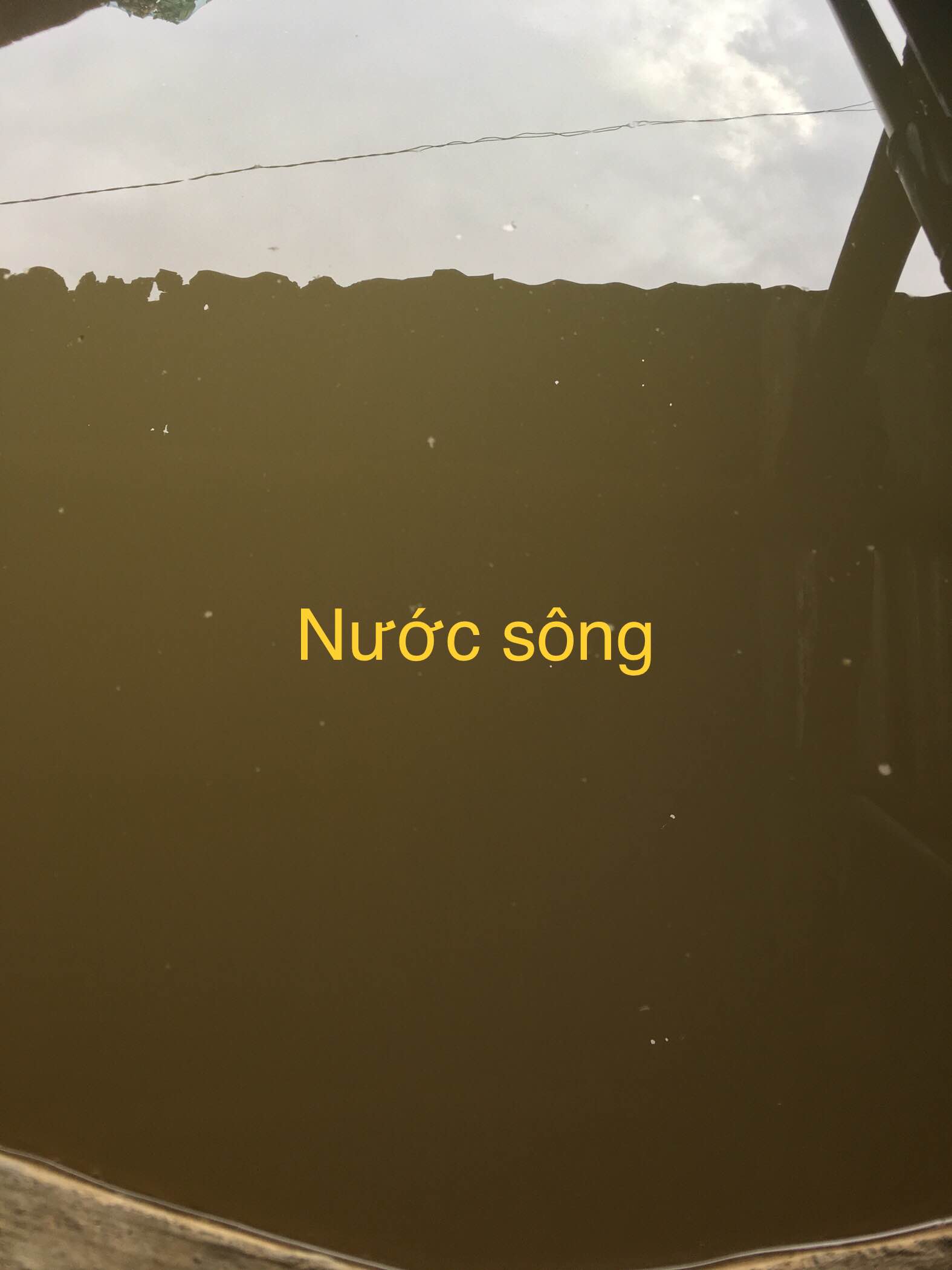 Bột Xử Lý Nước Sông ao, hồ rạch bị nhiễm vi sinh, chất rắn lơ lửng Thanh Mai 14G x 10