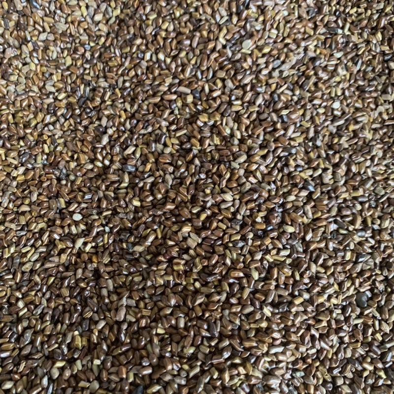 10kg hạt muồng đồ chơi xúc cát cho bé