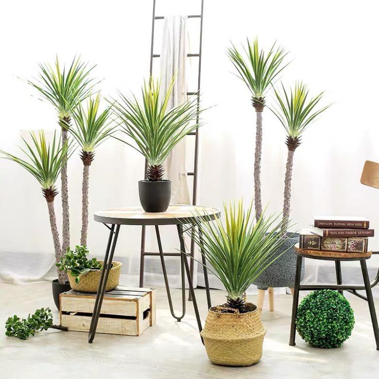 Cây giả Decor trang trí - Cây phát tài núi [Giống thật 99%]