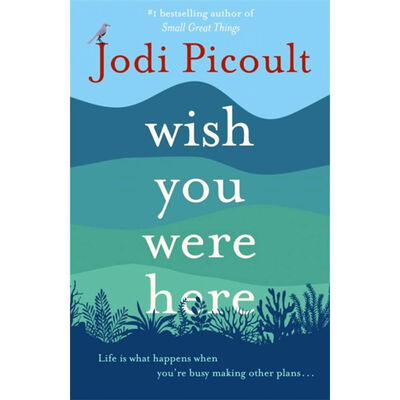 Wish You Were Here (Pocket size) - Jodi Picoult