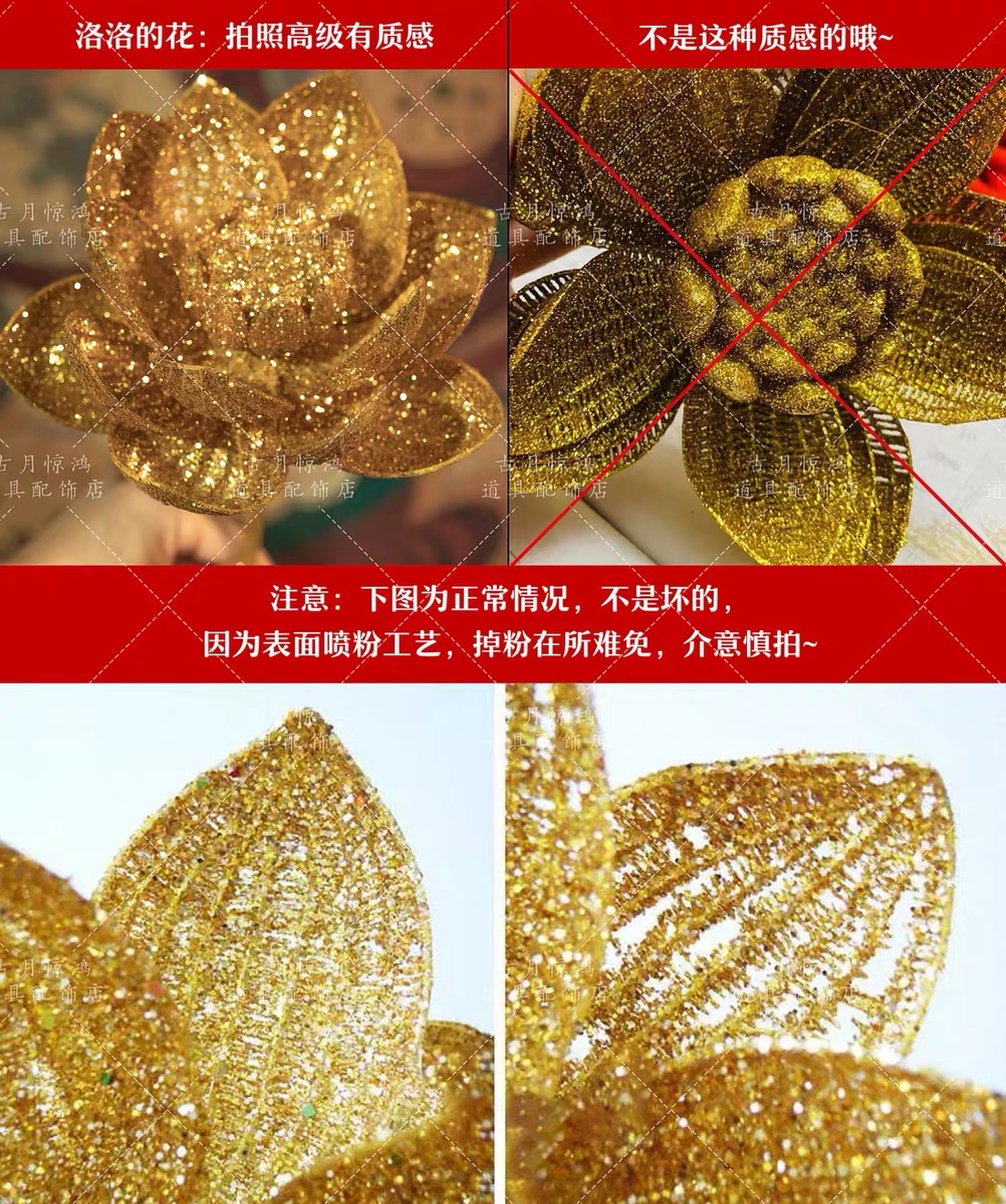 Hoa sen vàng cầm tay chụp ảnh