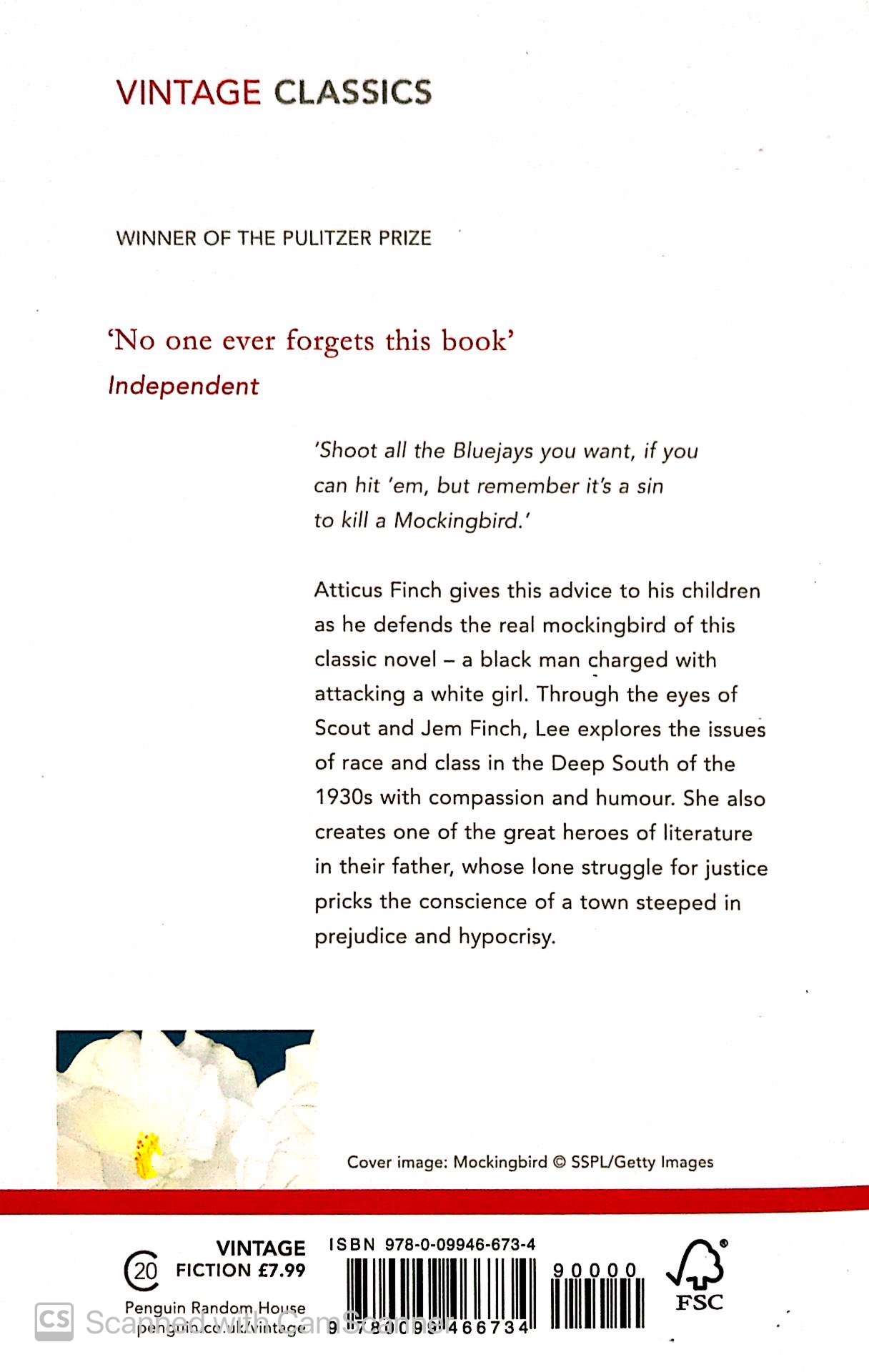 To Kill A Mockingbird( Paperback)