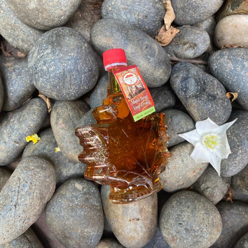 Siro lá phong maple syrup echo mountain 250ml
