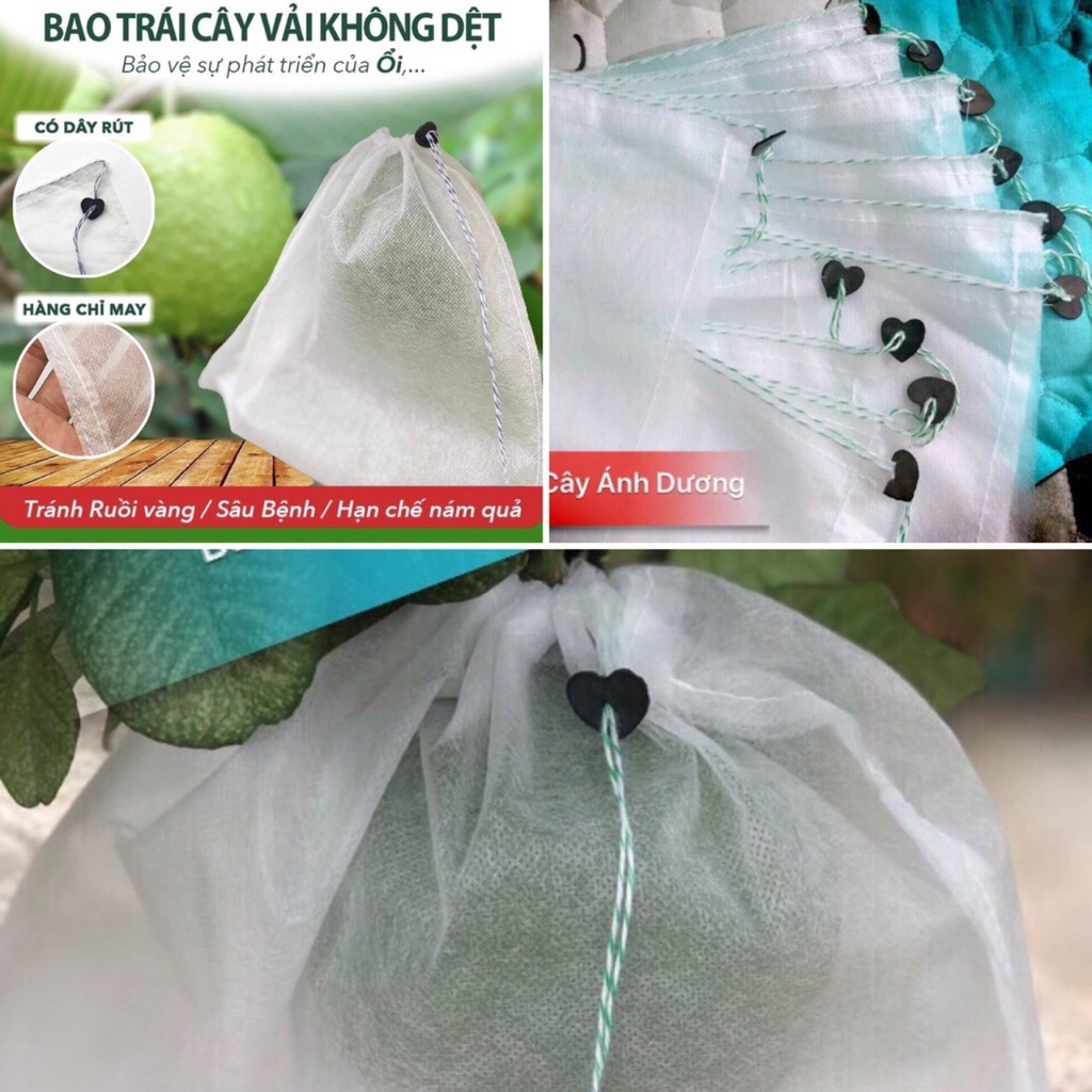 100 Túi Bọc Trái Cây Bưởi Da Xanh 30x35cm Thương Hiệu Ánh Dương - VUA BAO BÌ