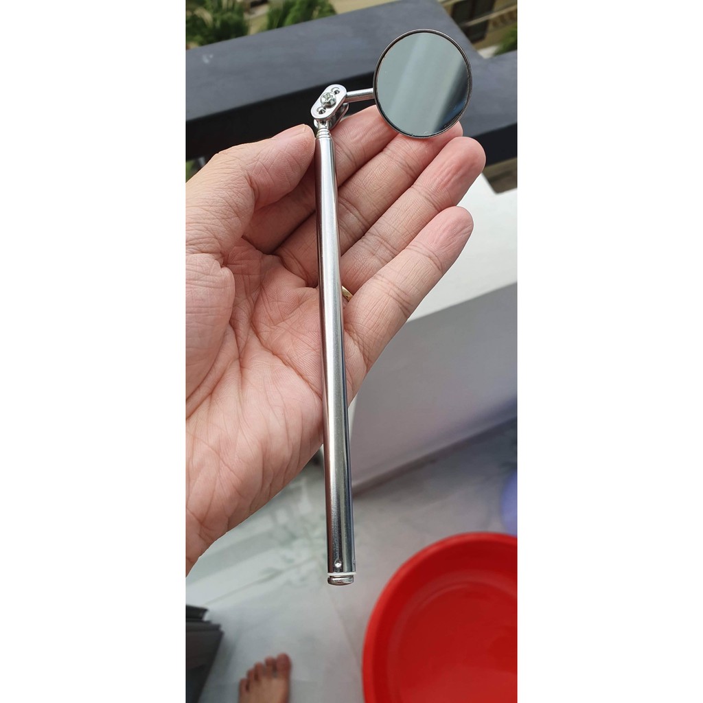 Cây kè cá betta bằng mica