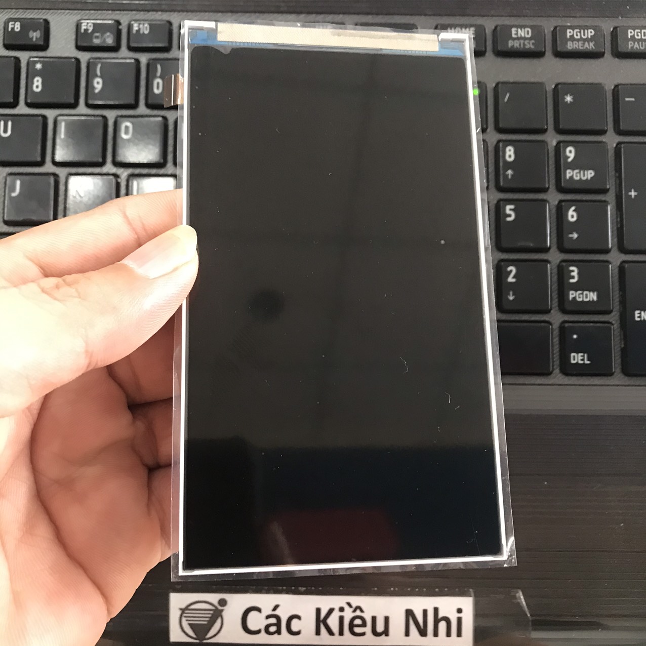 Màn hình	Itel	A33 | W5001	LCD rời