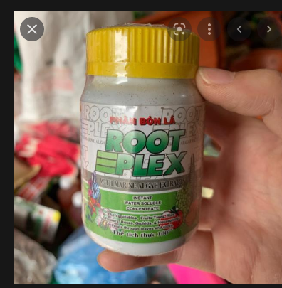 Phân Bón Tảo Biển Lá Cao Cấp Rootplex 100M
