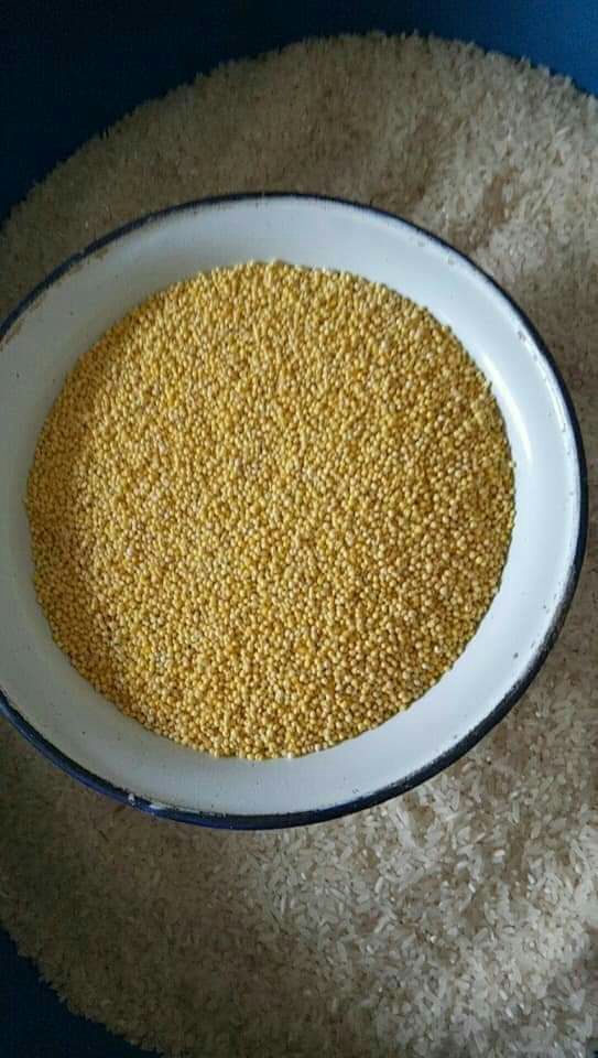 1kg kê nếp vàng nghệ an