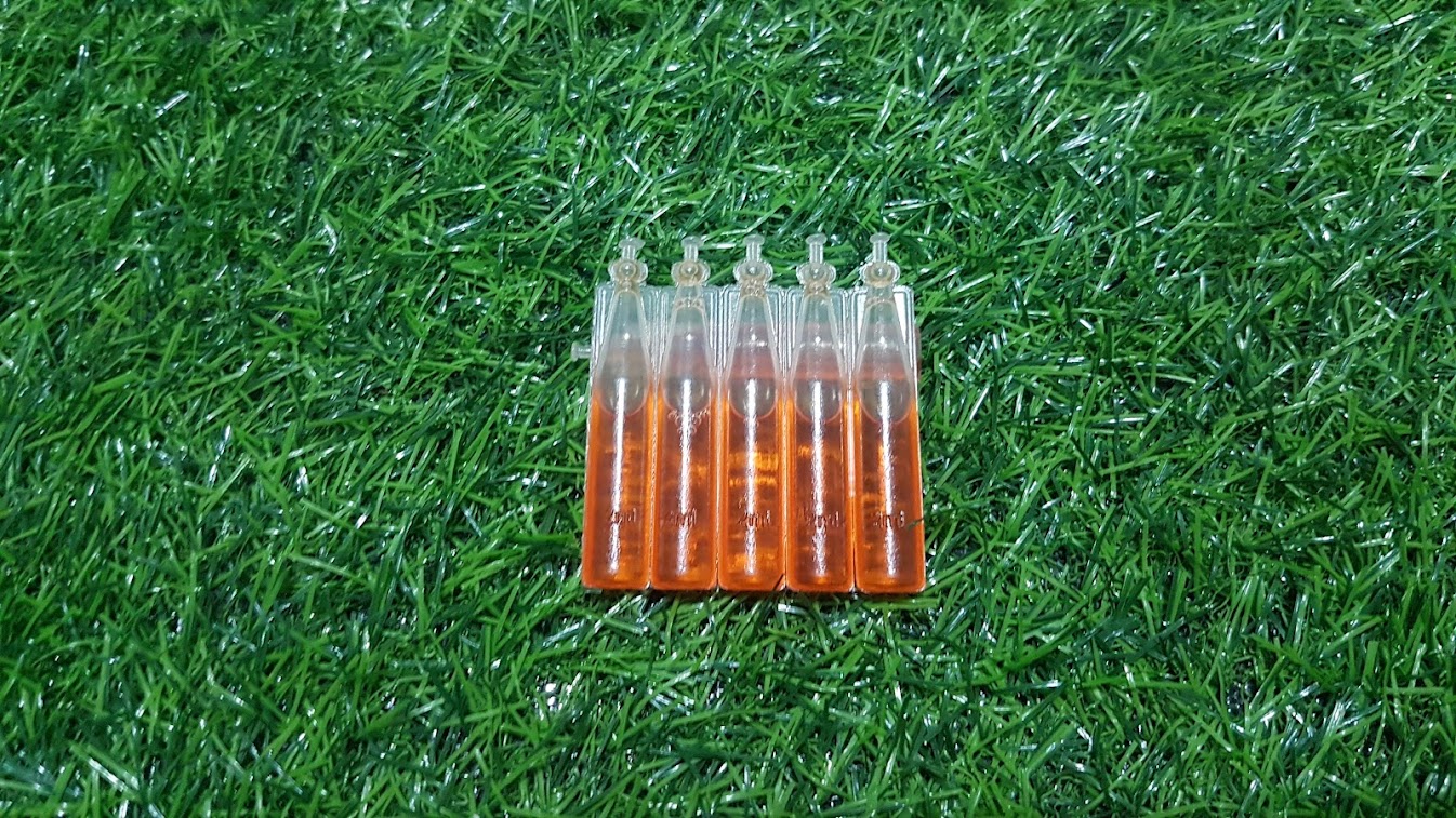 Dung dịch dẫn dụ ruồi