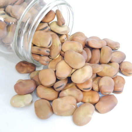 Fava beans (500g)