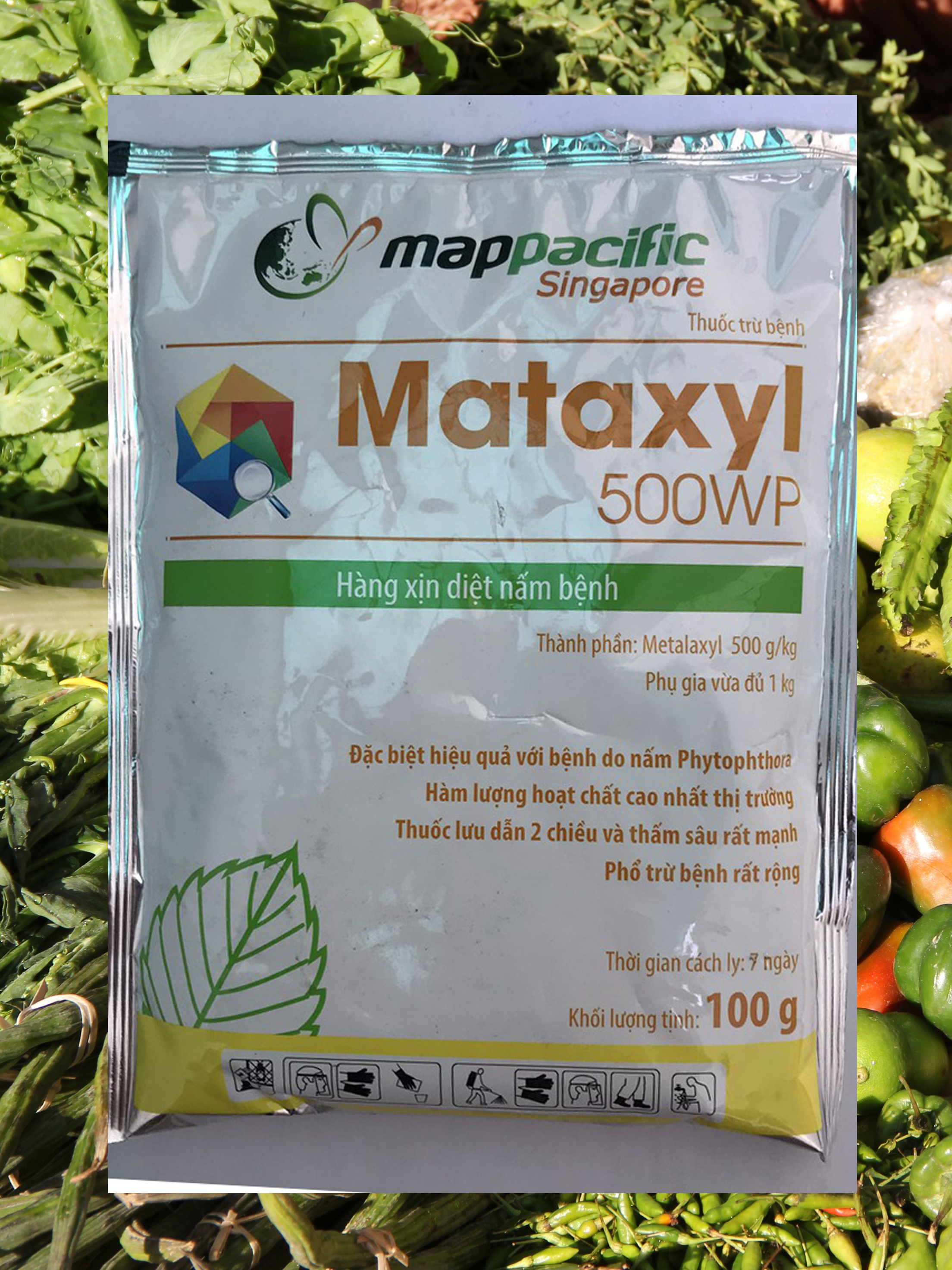 Mataxyl 500WP 100g - Thuốc trừ nấm bệnh hàng xịn, hoạt chất Metalaxyl cao nhất thị trường