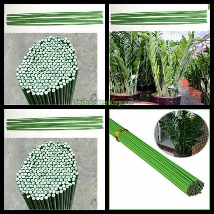 10 Que cắm lan màu xanh dài 80cm