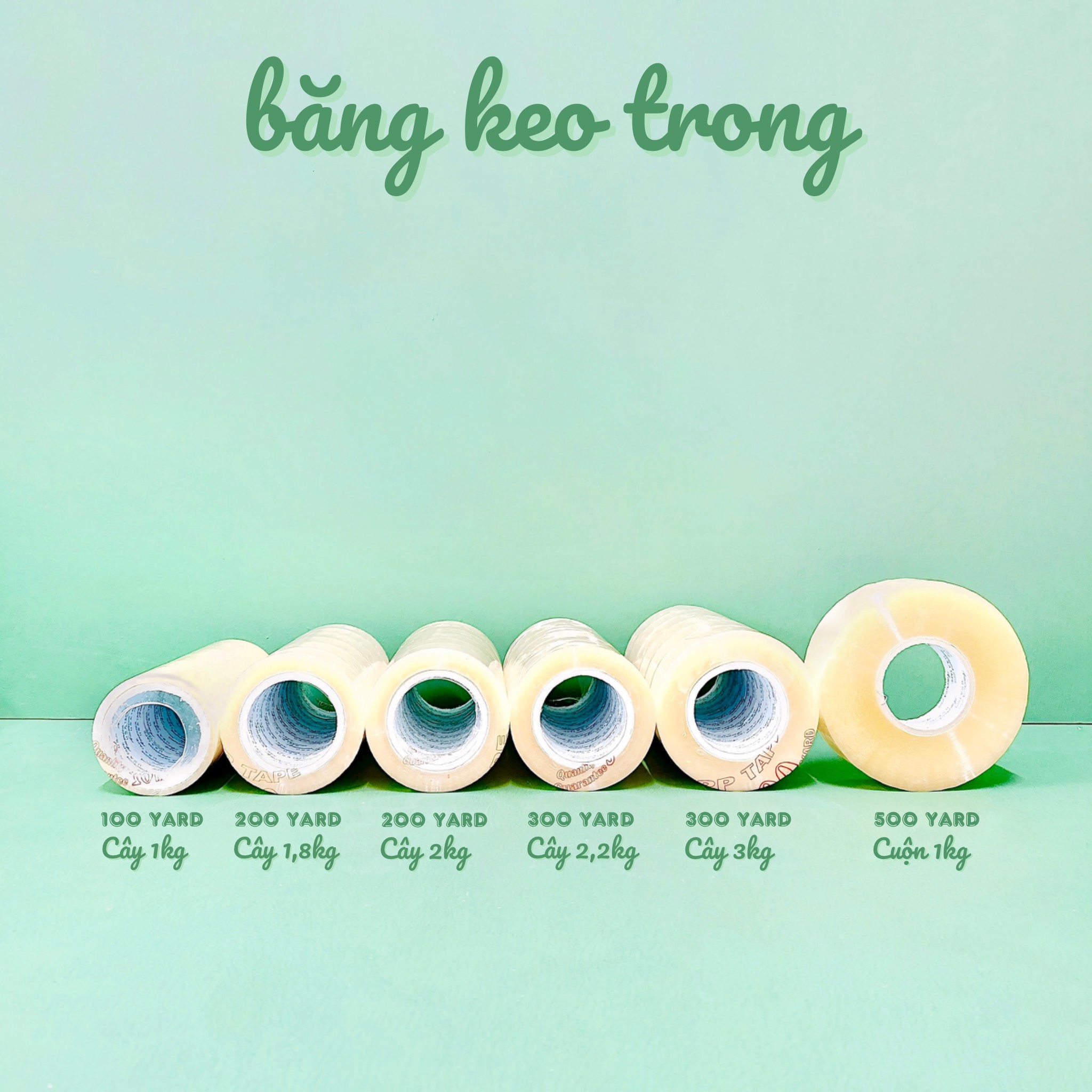 BĂNG KEO TRONG CÁC LOẠI