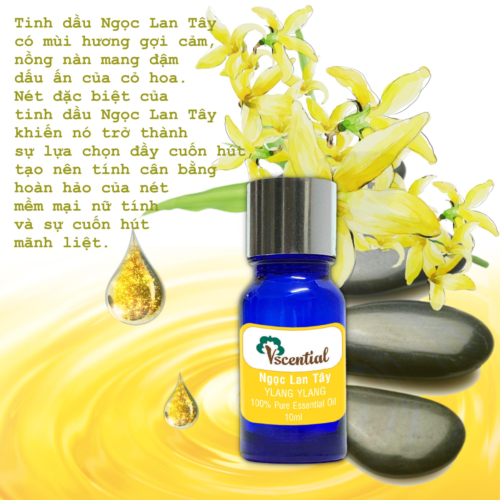 [HCM]Vscential Tinh Dầu Ngọc Lan Tây 10ml