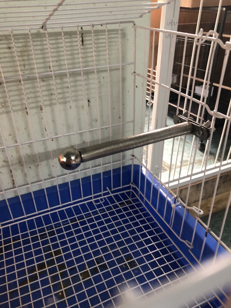 Cầu mài móng inox có pát treo lồng