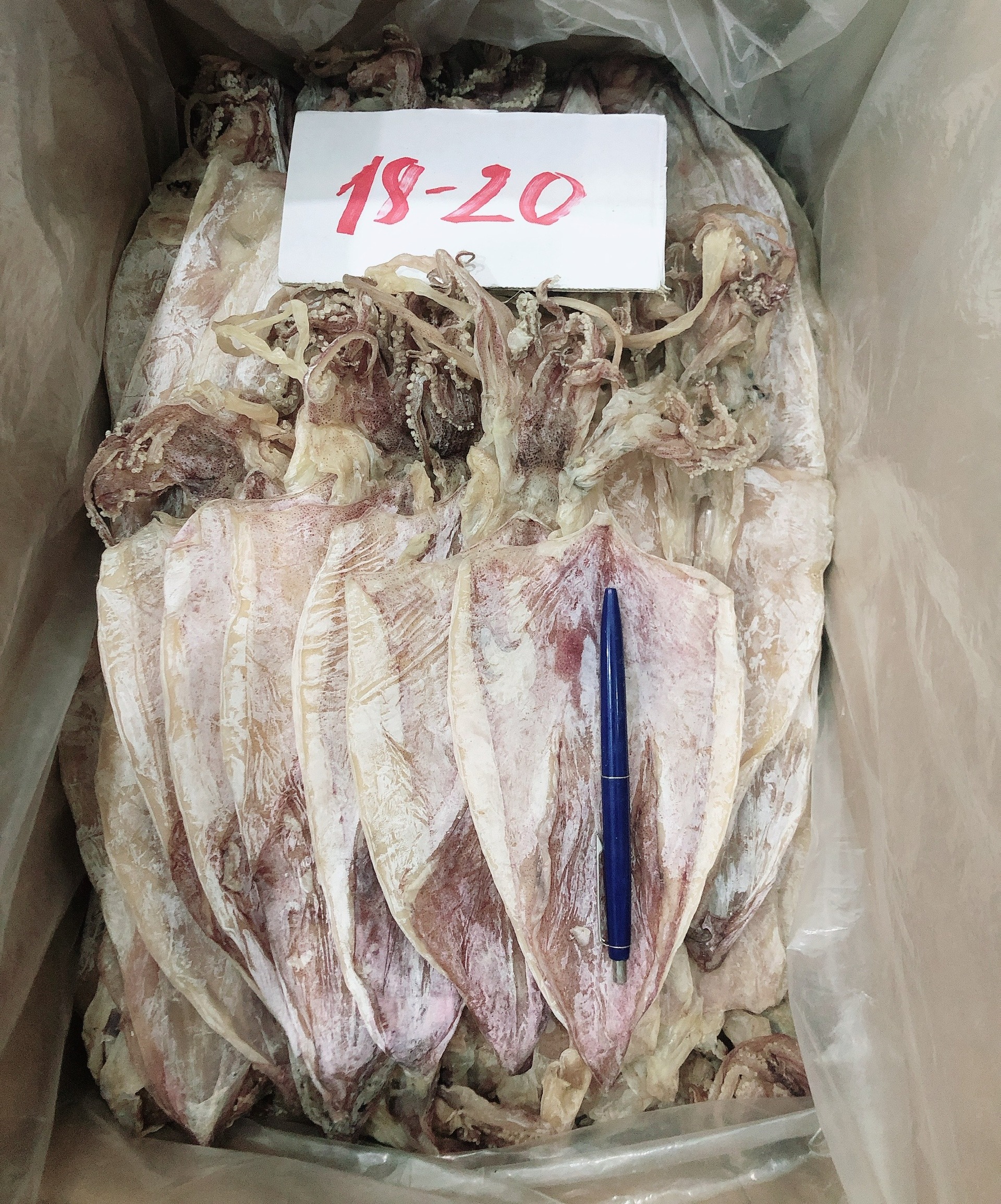 [HCM]Khô Mực Vũng Tàu Hạng A1: 18-20 con/kg