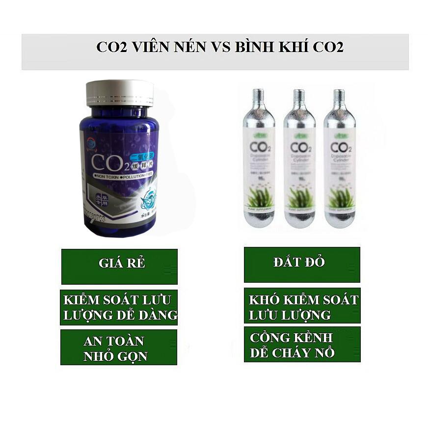 Set 60 viên sủi cung cấp CO2 cho hồ thủy sinh