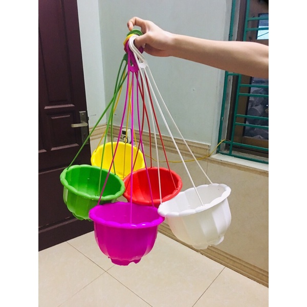 10 Chậu treo bí ngô