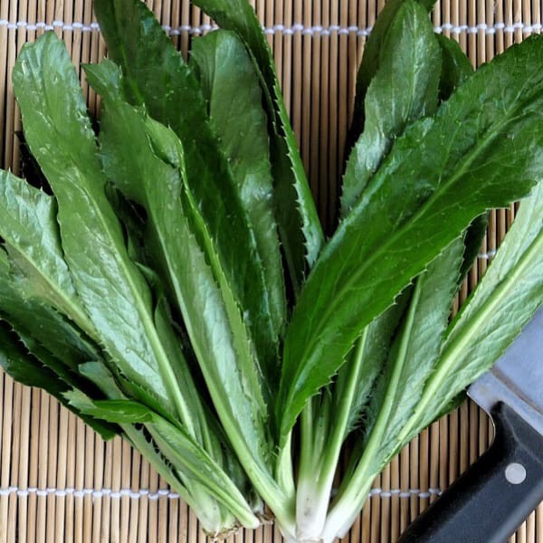 Hạt giống ngò gai