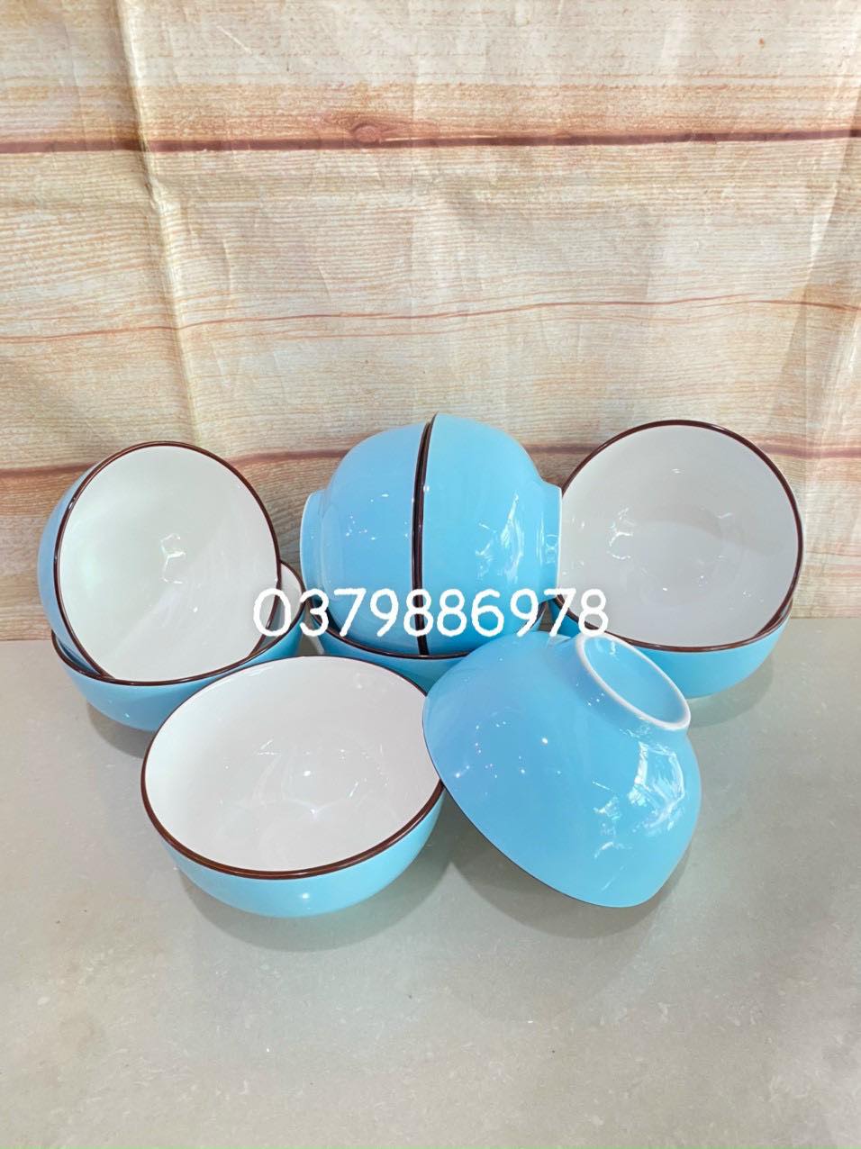 Bộ 10 chén sứ ăn cơm màu xanh pastel cao cấp