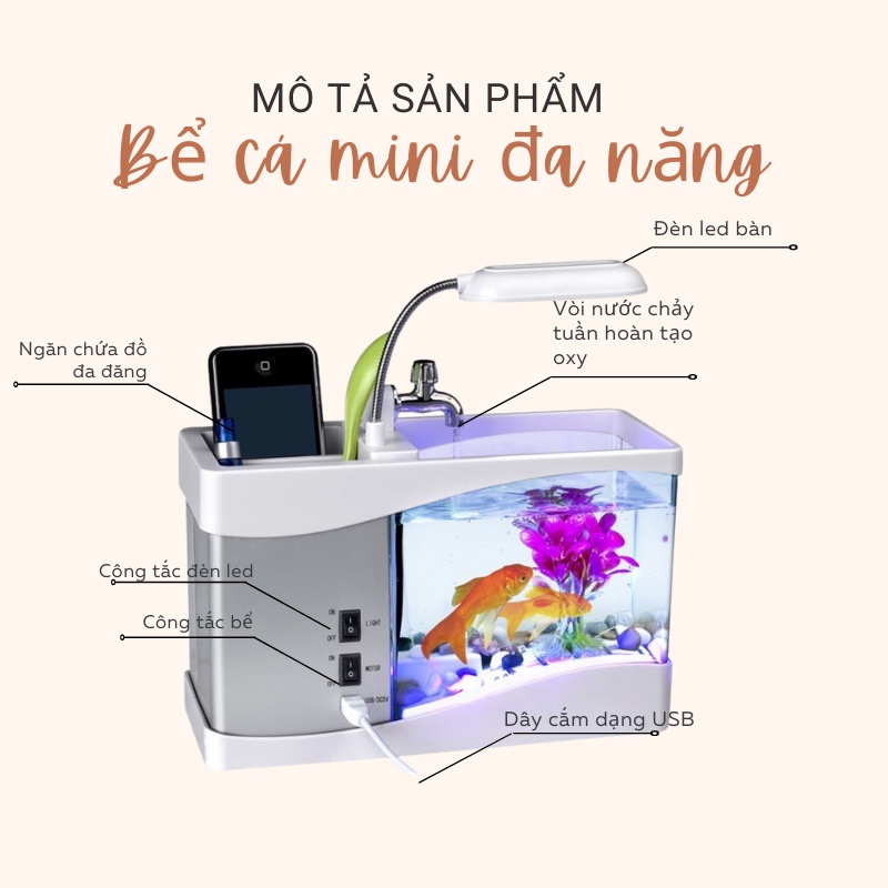Bể Cá Mini Hồ Thuỷ Sinh Để Bàn [Đồng Hồ Đèn Bàn Sỏi Cây Trang Trí]