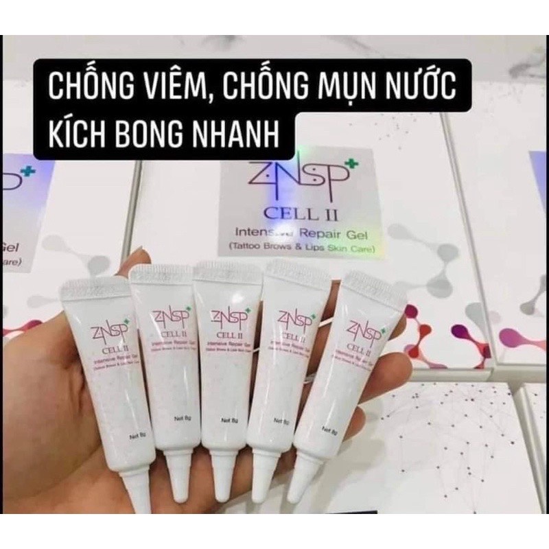 [CHÍNH HÃNG] Tế bào gốc znsp cell 3