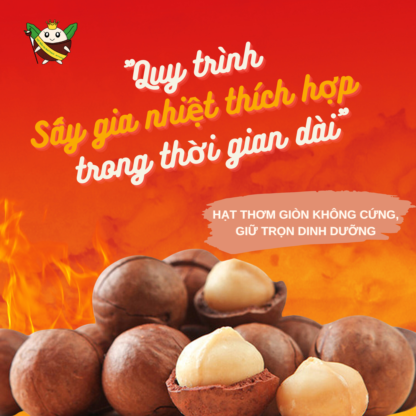 Box 180g macadamia nut Daklak - MaccaVIP (natural crack, size 22-30mm)