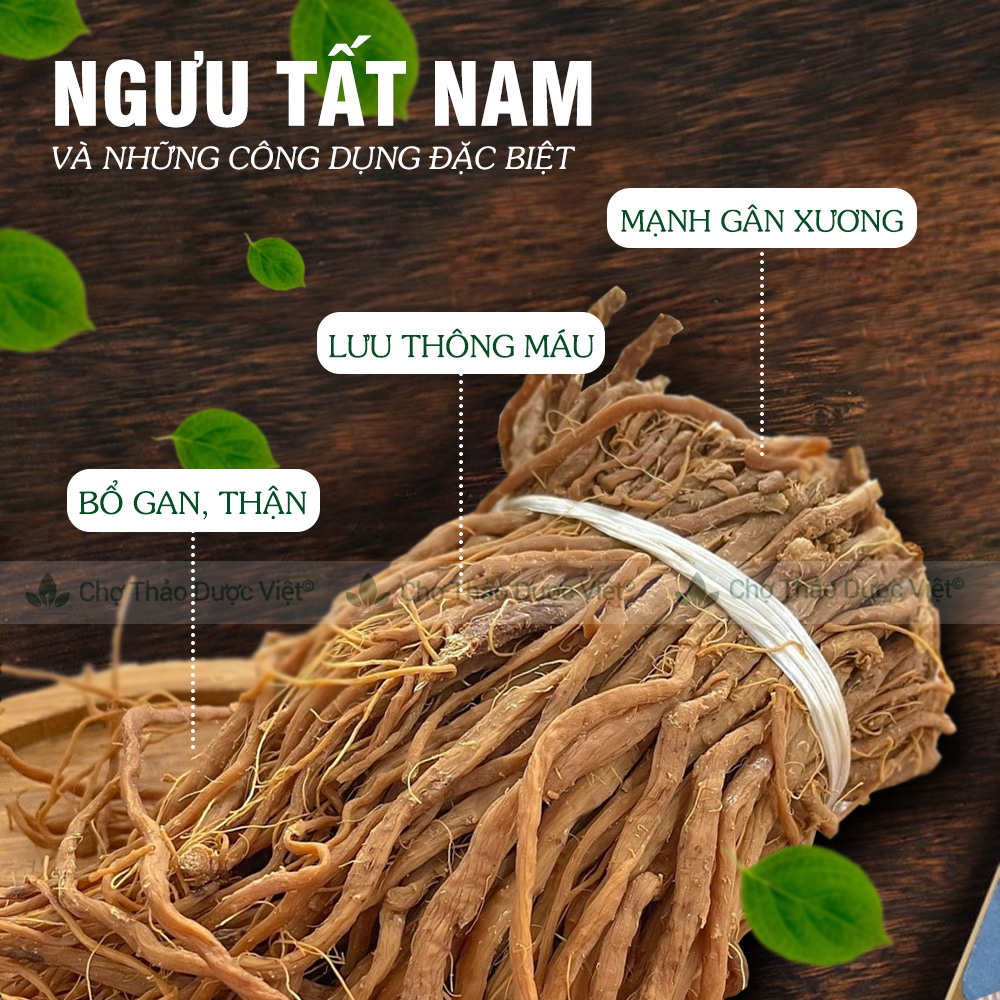 100g Ngưu Tất Nam (Khô, Thơm, Sạch)