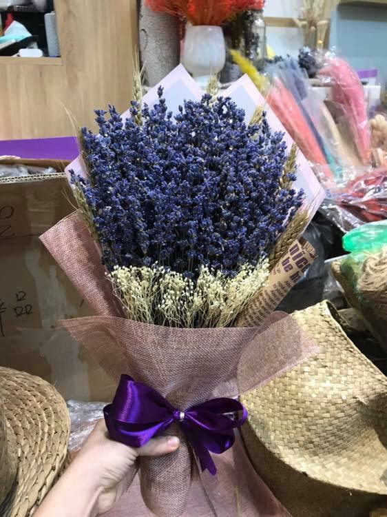 hoa khô - oải hương - lavender ( loại đẹp )