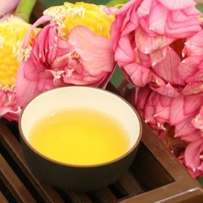 TRÀ SEN BẢO LỘC CAO CẤP 500G
