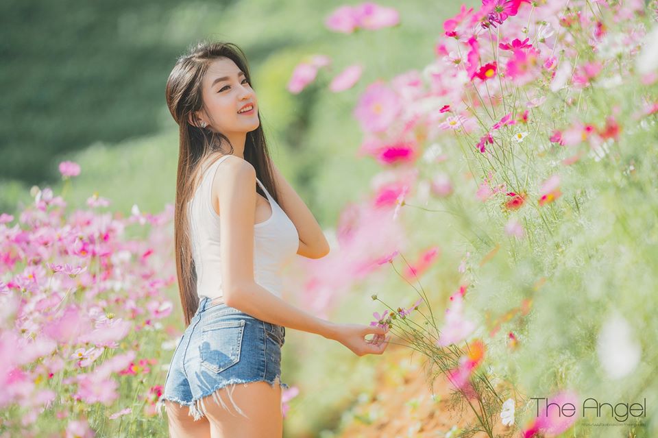 DEAL 5K - Hạt giống hoa cúc sao nhái mix màu ( 1000 hạt )
