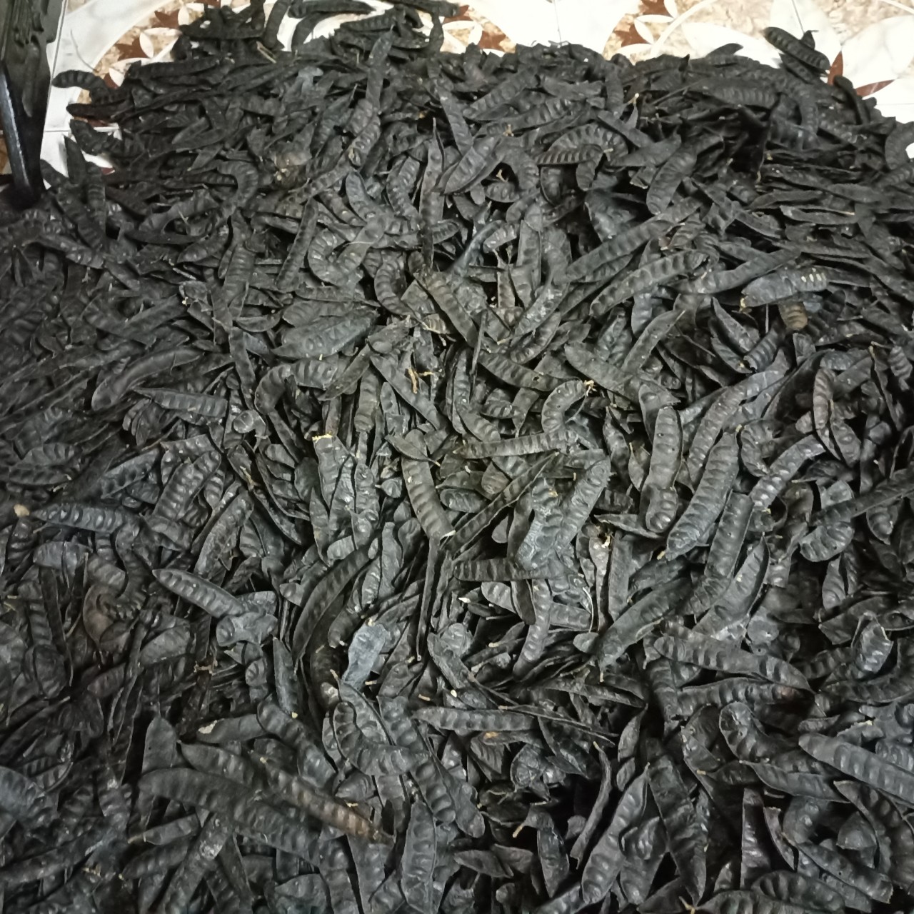 TRÁI BỒ KẾT KHÔ - BỘT BỒ KẾT RANG THƠM VỤ MỚI