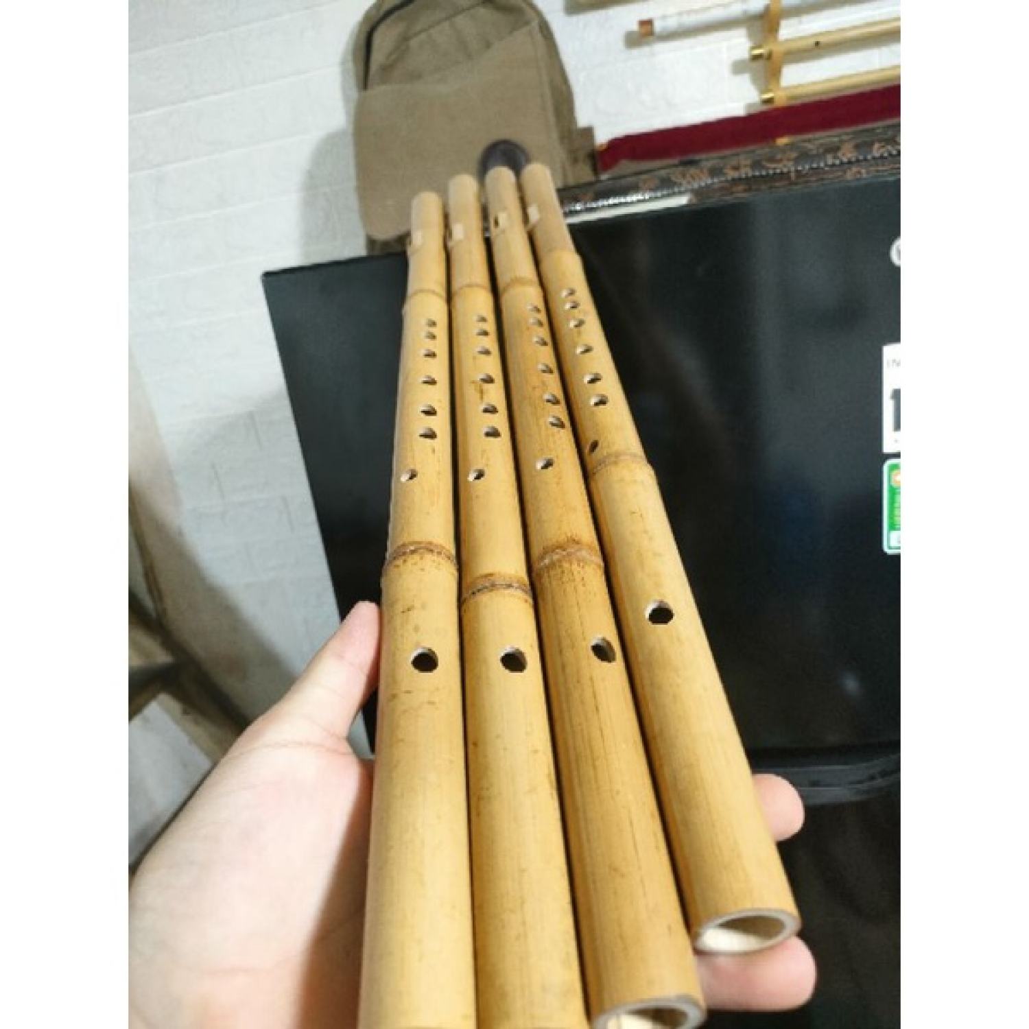 Sáo Mèo Trúc Hun Free Ship