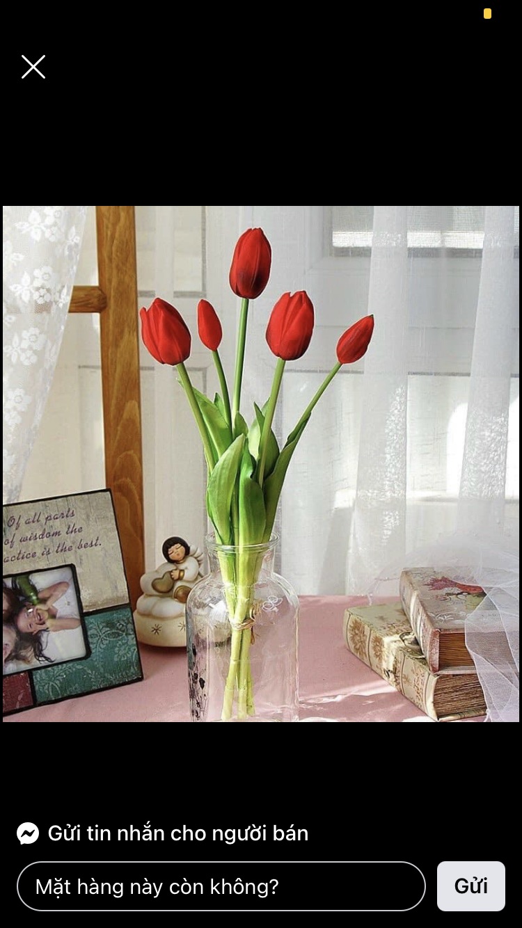 Bó hoa tulip cao cấp 3 bông 2 nụ