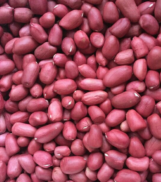 Lạc đỏ Tây Bắc_túi 1kg - thơm ngon