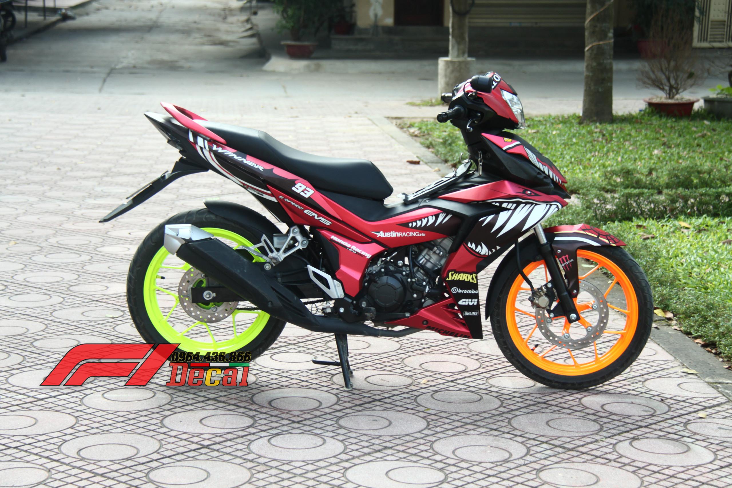 Tem trùm xe winner cá mập