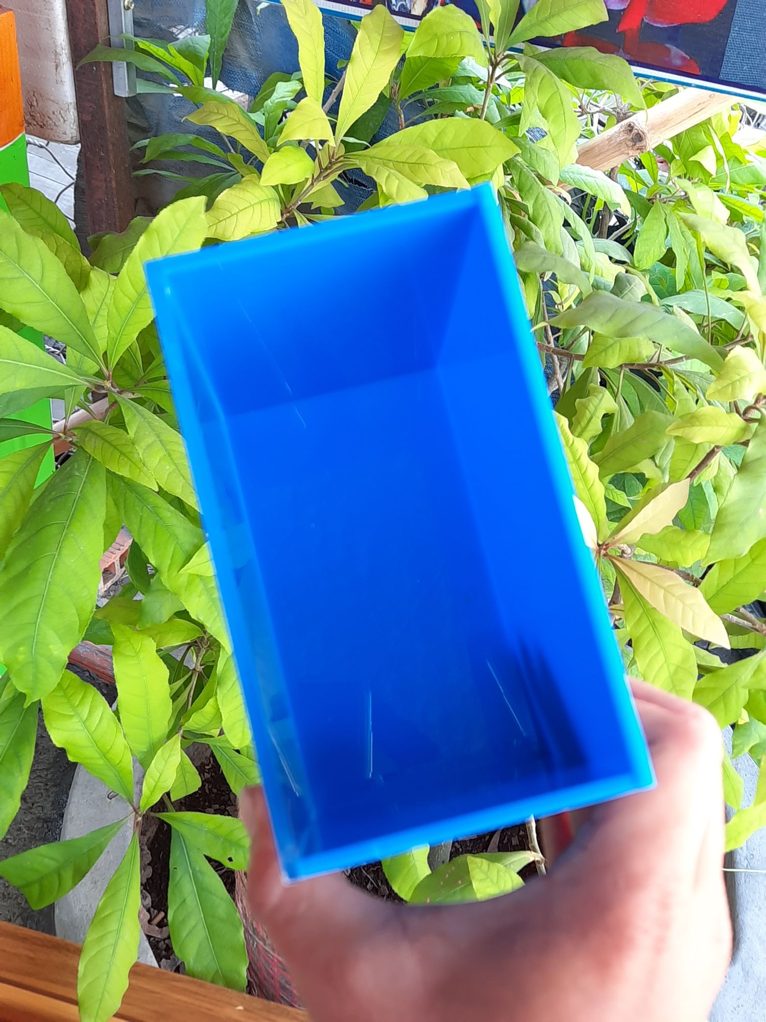 Hồ show cá Guppy & Betta