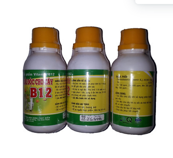 CHẾ PHẨM VITAMIN B12 CHỐNG SỐC VÀ GIẢI ĐỘC CHO CÂY TRỒNG, HOA CẢNH 100ml (cây)