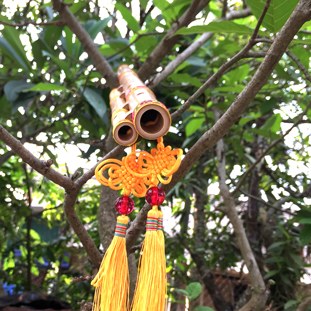 sáo mèo kép việt