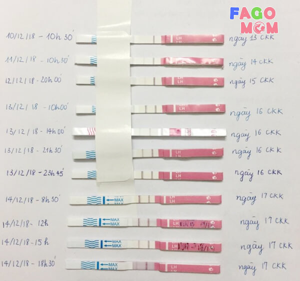 Bộ 3 Que Thử Rụng Trứng Ovulation (Lh) Test Strip