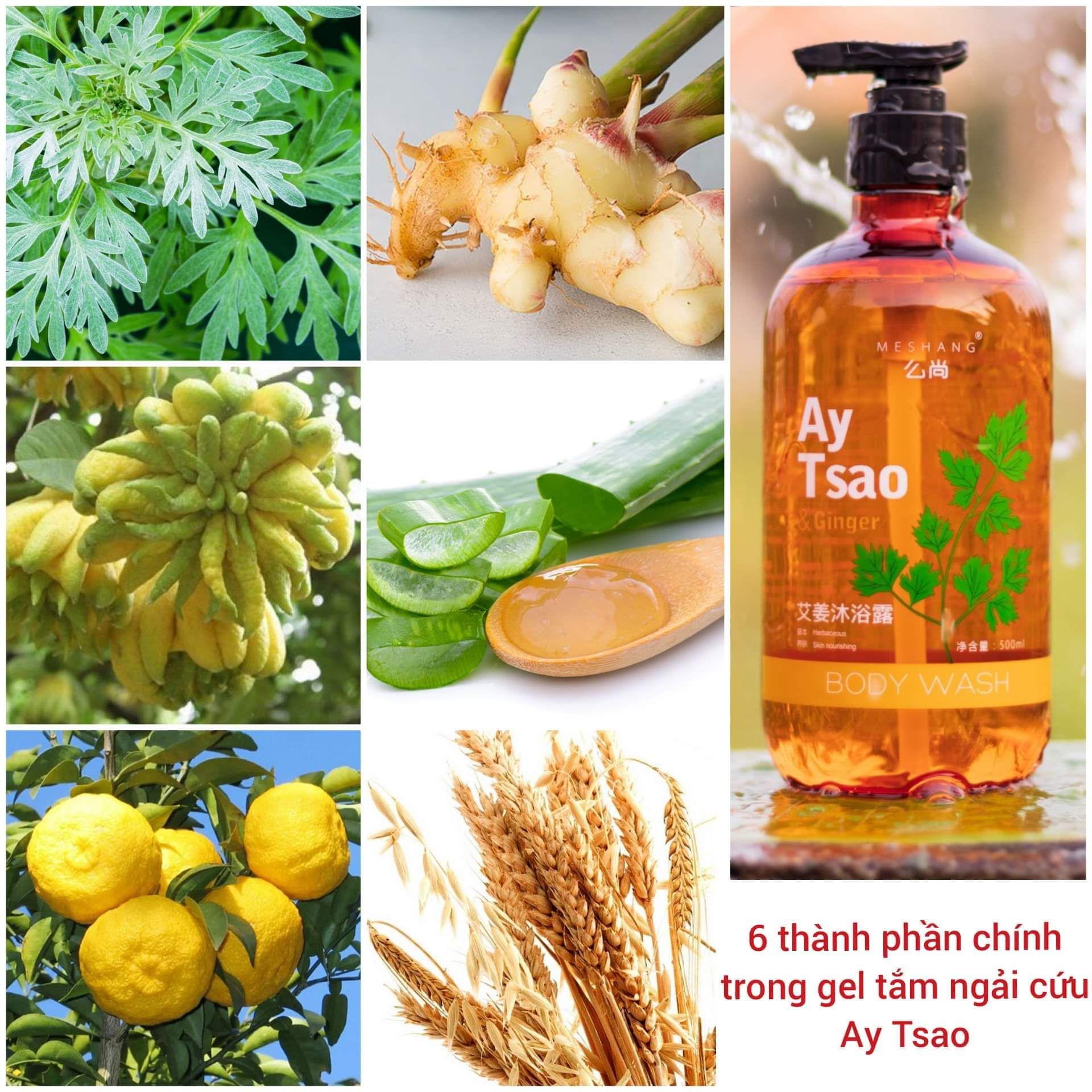 Gel tắm ngải cứu Ay Tsao (Meshang)