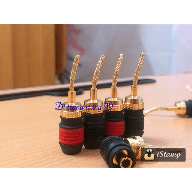 Jack loa mỏ chim mềmwin 3804