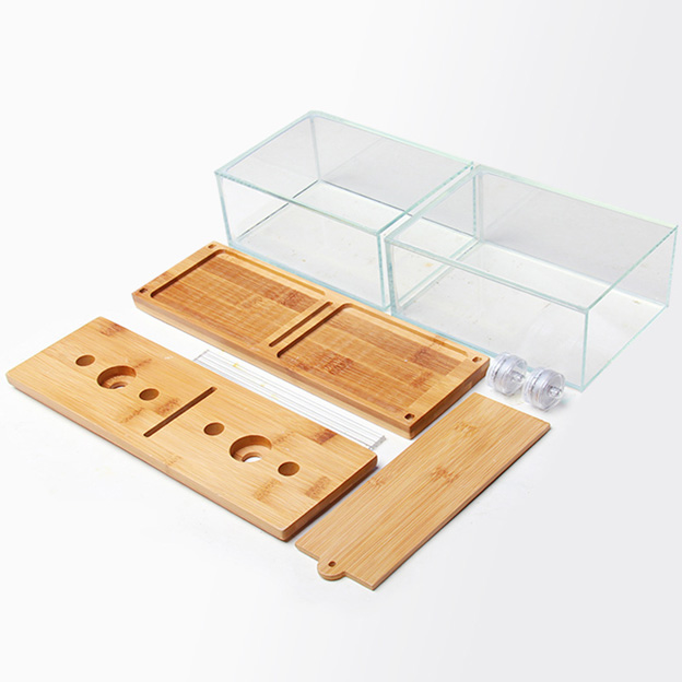Bể cá chọi Betta đôi