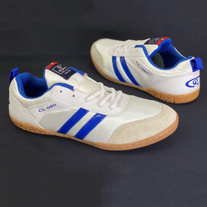 GIÀY CẦU LÔNG, GIÀY BÓNG CHUYỀN BÓNG RỔ