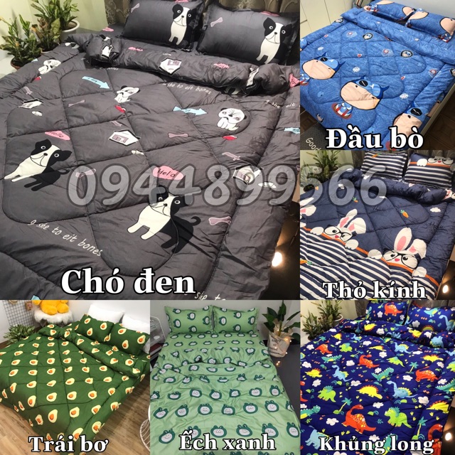 Trọn bộ chăn phao ga gối poly cotton ( nhiều mẫu)