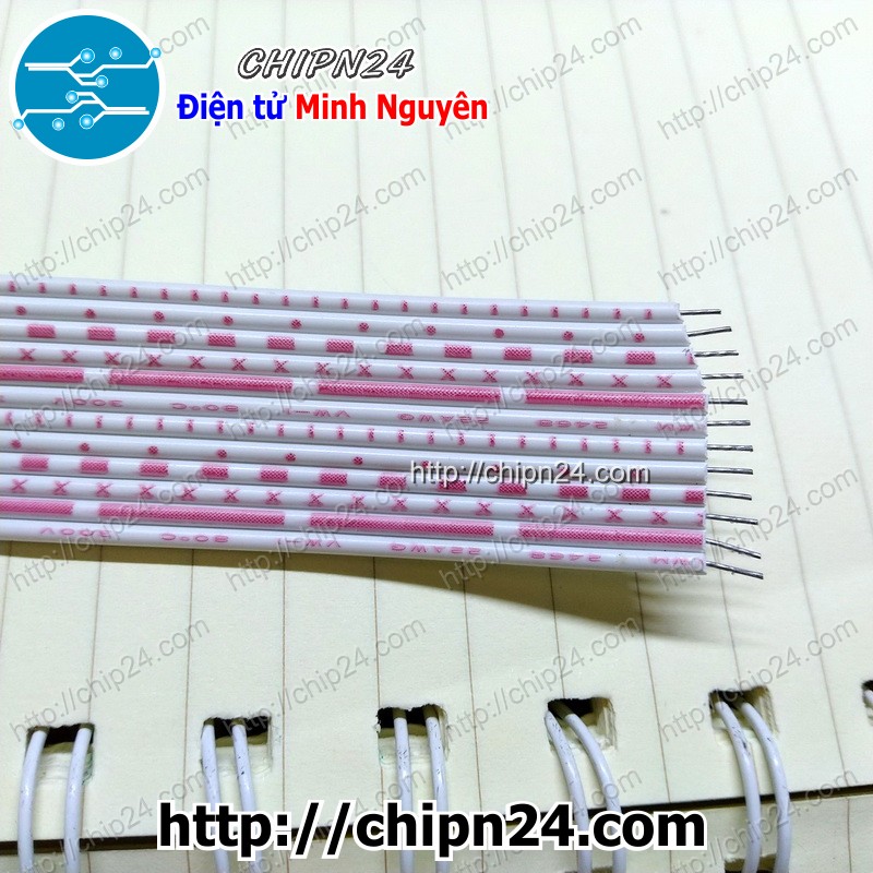Dây bẹ 12p (1mét)