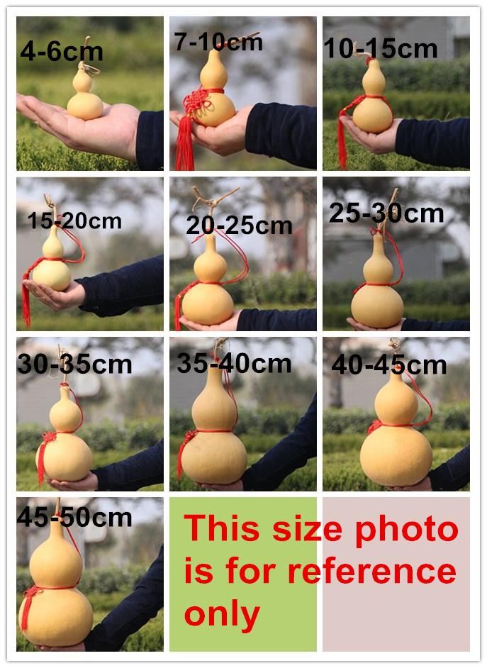 [HCM]Trái Bầu Hồ Lô để khô cao từ 20cm (vàng-không cắt nắp)