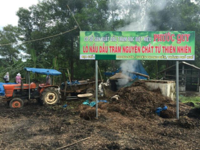 Tinh dầu massage Phước Quy Huế